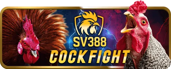 Ưu đãi chào mừng thành viên mới tại 65win nhà cái
